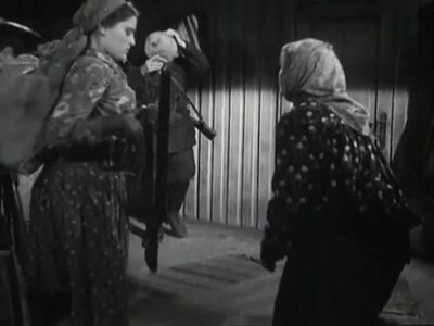 Collection of Films for the Armed Forces #6