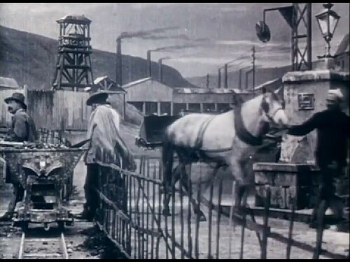 Down in the Coal Mines